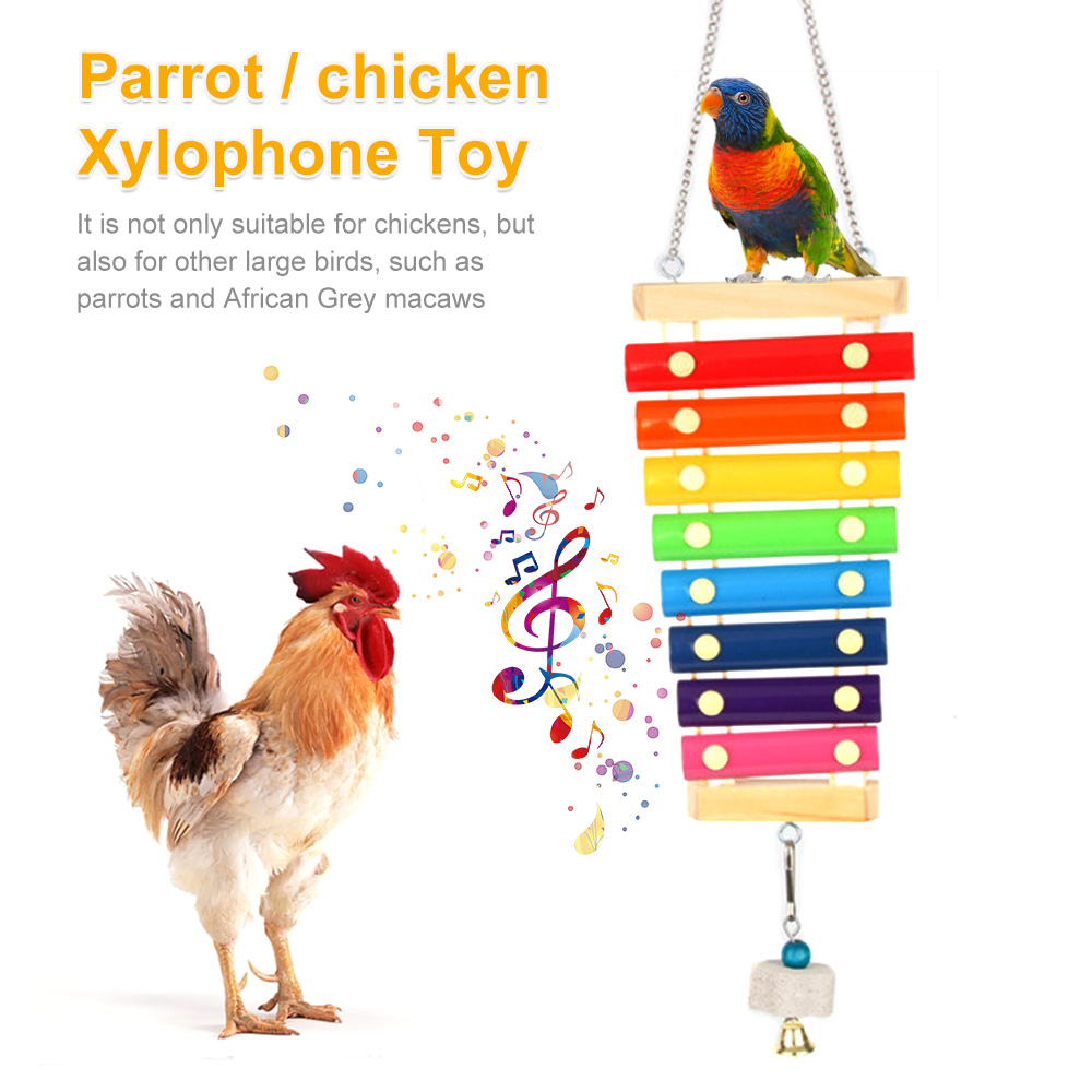鳥鶏木琴おもちゃ木製吊り下げ鳥ケージアクセサリー音楽玩具 8 - Musical Instrument Harmonium のレビューと価格